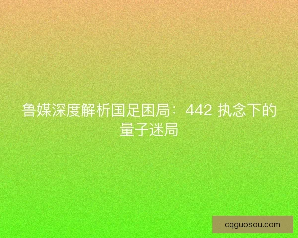 鲁媒深度解析国足困局：442 执念下的量子迷局